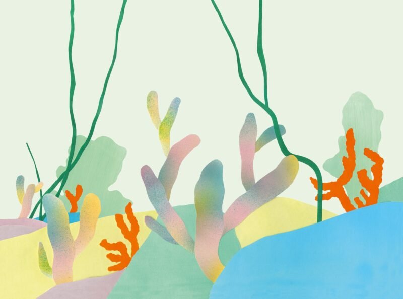 A colourful illustration of an underwater garden, with orange coral shapes, pale branching forms and long green stems above a blue foreground