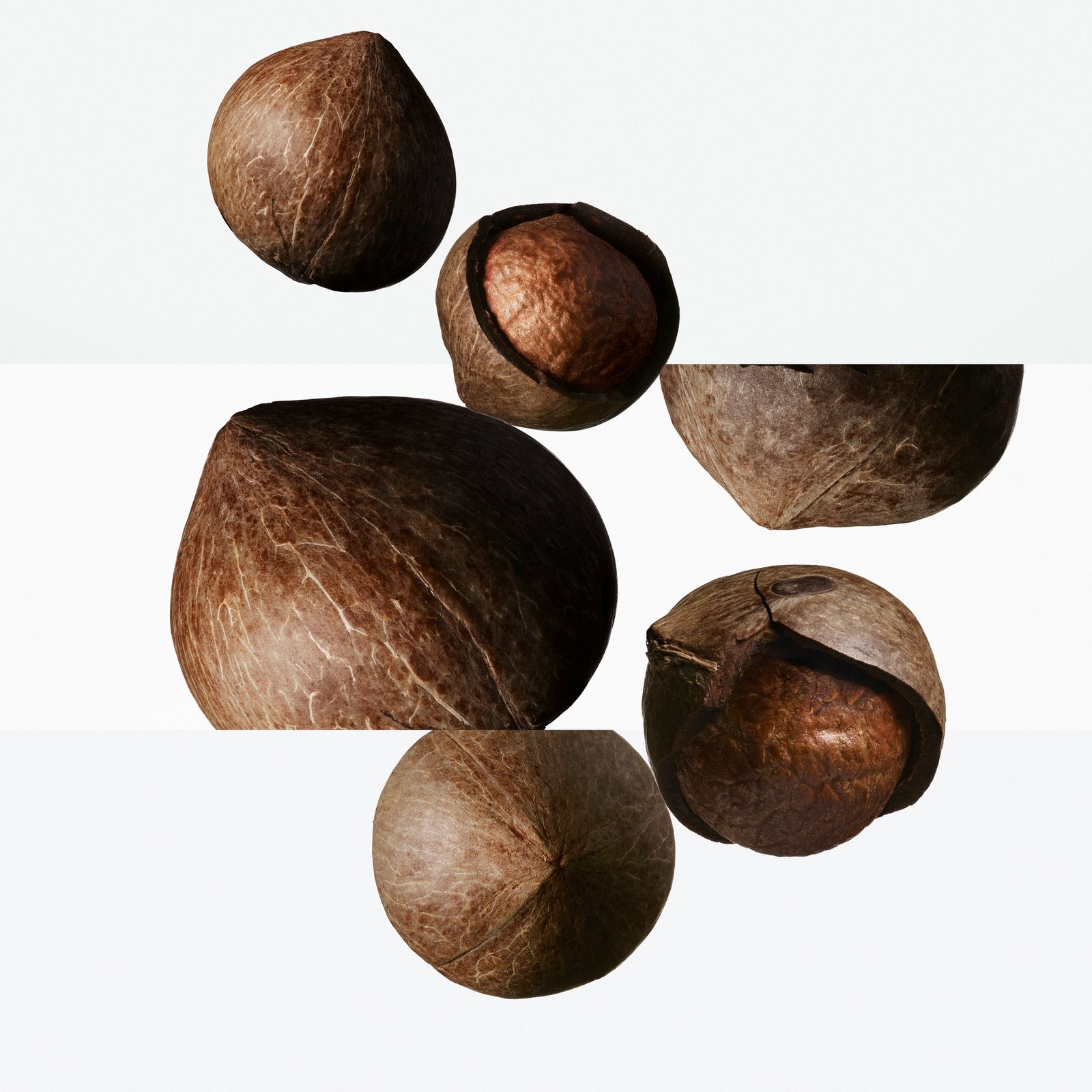 Brown nuts arranged against a pale background in a still life with horizontally offset bands